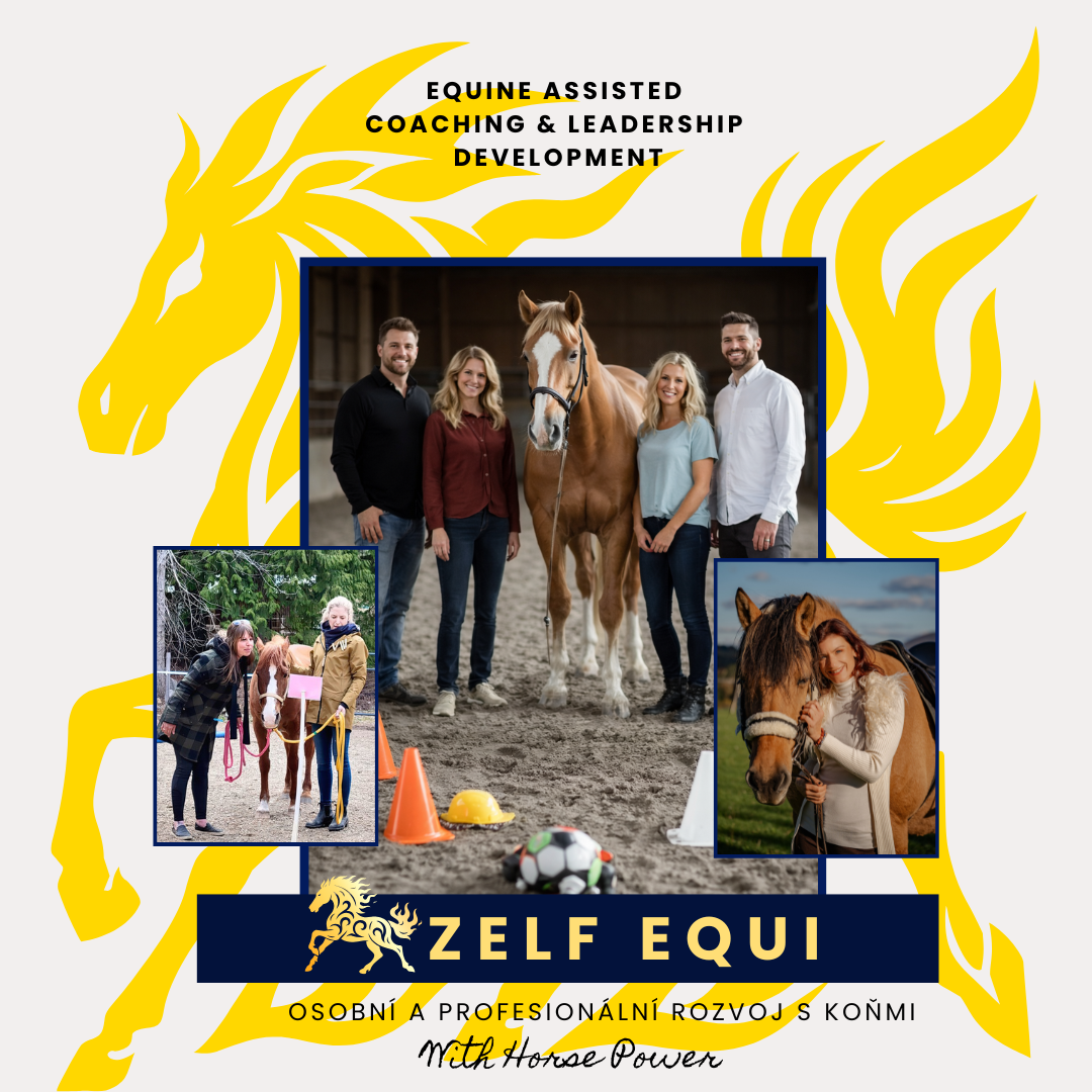 ZELF EQUI